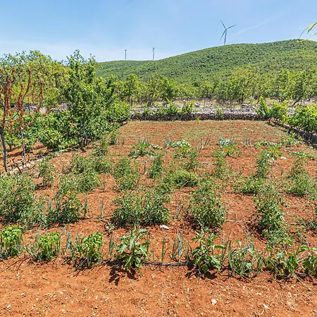 3 Bedroom Amazing In Mravnica Mravnica (Sibenik)